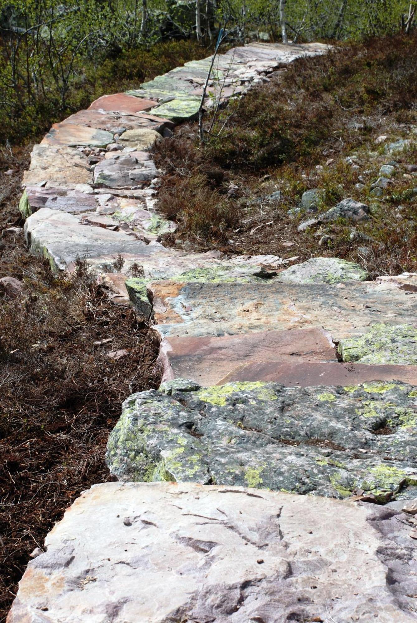 12 - Fulufjellets Nasjonalparker - Natur-, Dyre- Og Fugleopplevelser Ljørdal Exterior foto